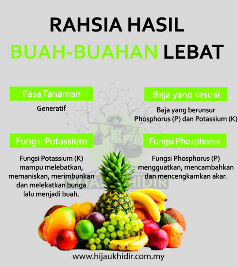 generatif dan pembajaan buah