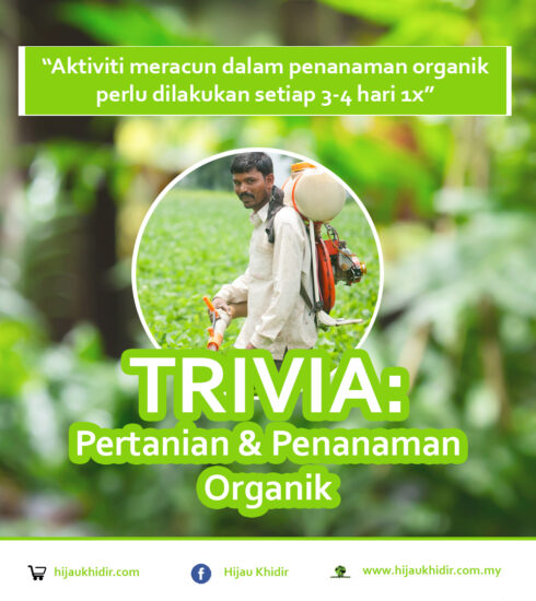 aktiviti meracun secara organik